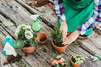 Pots de fleurs en terre cuite ou sac écologique ? Quoi choisir ?